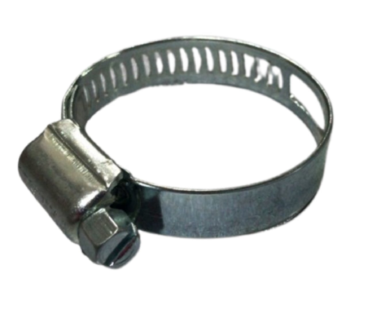 MUHTELİF KELEPÇE (KÜÇÜK)